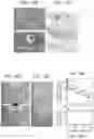 Fig. 19 - Systems and methods for designing integrated circuits
