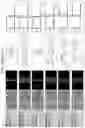 Fig. 45 - Systems and methods for designing integrated circuits