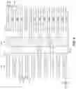 Fig. 06 - Integrated circuit layouts with line-end extensions