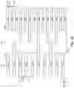 Fig. 24 - Integrated circuit layouts with line-end extensions
