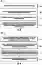 Fig. 04 - SOFTWARE IMAGE DOWNLOAD SECURITY