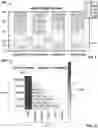 Fig. 08 - Methods, systems, articles of manufacture and apparatus to privatize consumer data