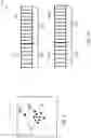 Fig. 08 - Periocular facial recognition switching