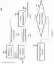 Fig. 07 - Biometric data capturing and analysis