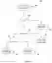 Fig. 09 - Biometric data capturing and analysis