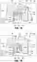 Fig. 02 - Multi-region detection for images