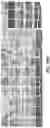 Fig. 29 - Methods and apparatus for discriminative semantic transfer and physics-inspired optimization of features in deep learning