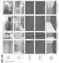 Fig. 33 - Methods and apparatus for discriminative semantic transfer and physics-inspired optimization of features in deep learning