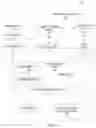 Fig. 02 - Weakly supervised learning for classifying images