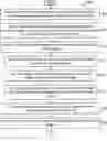 Fig. 01 - Data augmentation for image classification tasks