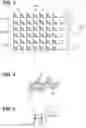 Fig. 04 - Convolutional neural network