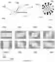 Fig. 06 - ORGANIC LEARNING