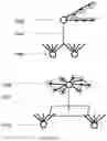 Fig. 19 - ORGANIC LEARNING