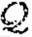 Fig. 150 - Quantum random, self-modifiable computer