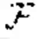 Fig. 173 - Quantum random, self-modifiable computer