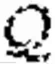 Fig. 180 - Quantum random, self-modifiable computer