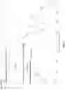 Fig. 08 - Induced Markov chain for wind farm generation forecasting