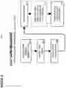 Fig. 09 - SYSTEM AND METHOD FOR PRESERVING FORESTS AND CERTIFYING THE SUPPLY CHAIN OF LUMBER