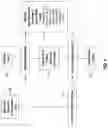 Fig. 05 - COGNITIVE HANDLING OF WORKLOAD REQUESTS