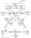 Fig. 01 - Cryptocurrency payment network