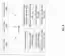 Fig. 10 - Systems and methods for providing tokenized transaction accounts
