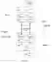 Fig. 04 - FEATURE CODES AND BONUSES IN VIRTUAL WORLDS