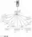 Fig. 10 - Systems, Methods, and Transmission Network for Viewing/Listening of Audio/Video Distribution, Measuring of Audience Response, Selecting and Identifying Talent Based on Audience Response, and Promoting Media and Artists