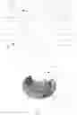 Fig. 04 - Method for obtaining 360° panorama images to be continuously displayed by a two-dimensional medium on a cylindrical or conical reflecting surface that simulates the actual view