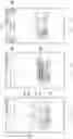 Fig. 12 - Method and mobile device for displaying image