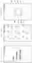 Fig. 14 - Method and mobile device for displaying image