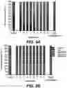Fig. 07 - Neural network evolution using expedited genetic algorithm for medical image denoising