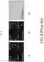 Fig. 09 - Using photonic emission to develop electromagnetic emission models