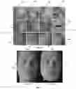 Fig. 12 - Techniques for capturing dynamic appearance of skin