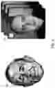 Fig. 04 - Generating a stylized image or stylized animation by matching semantic features via an appearance guide, a segmentation guide, and/or a temporal guide