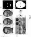Fig. 06 - Generating a stylized image or stylized animation by matching semantic features via an appearance guide, a segmentation guide, and/or a temporal guide