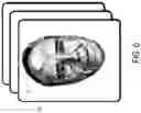 Fig. 07 - Generating a stylized image or stylized animation by matching semantic features via an appearance guide, a segmentation guide, and/or a temporal guide