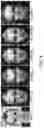 Fig. 09 - Generating a stylized image or stylized animation by matching semantic features via an appearance guide, a segmentation guide, and/or a temporal guide
