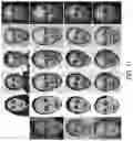 Fig. 12 - Generating a stylized image or stylized animation by matching semantic features via an appearance guide, a segmentation guide, and/or a temporal guide