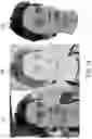 Fig. 13 - Generating a stylized image or stylized animation by matching semantic features via an appearance guide, a segmentation guide, and/or a temporal guide