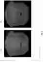 Fig. 04 - Techniques for providing virtual lighting adjustments utilizing regression analysis and functional lightmaps
