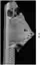 Fig. 06 - Intelligent capturing of a dynamic physical environment