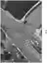 Fig. 08 - Intelligent capturing of a dynamic physical environment