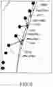 Fig. 07 - Methods and devices for user interaction in augmented reality