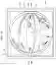 Fig. 14 - Surveillance camera system and surveillance method