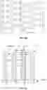Fig. 05 - Array substrate, liquid crystal display panel and display device