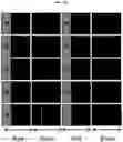 Fig. 17 - Display panel for displaying high-luminance and high-color saturation image, and image display apparatus including the same
