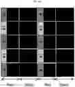 Fig. 19 - Display panel for displaying high-luminance and high-color saturation image, and image display apparatus including the same