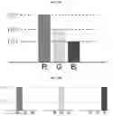 Fig. 30 - Display panel for displaying high-luminance and high-color saturation image, and image display apparatus including the same