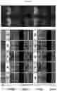 Fig. 32 - Display panel for displaying high-luminance and high-color saturation image, and image display apparatus including the same