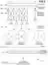 Fig. 06 - Using recurrent neural network for partitioning of audio data into segments that each correspond to a speech feature cluster identifier